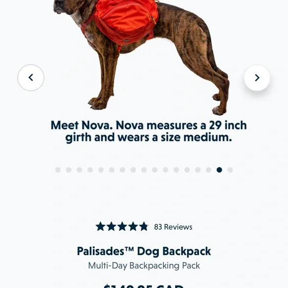Dog Backpack - Red - Picture 1 of 7
